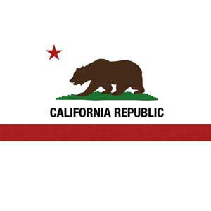 California Republic iPhone 13 Pro Max Clear Case
